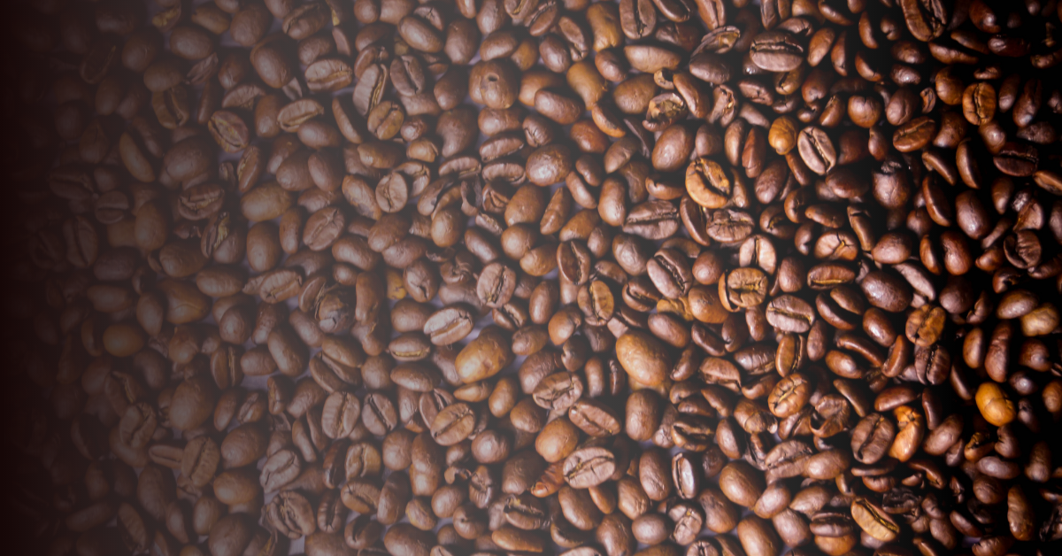 Gradient Coffee Beans: How to Choose the Correct Roast for your Palate